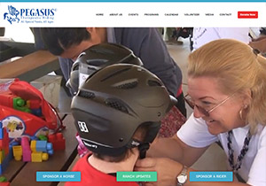 Impression Design Clients Pegasus